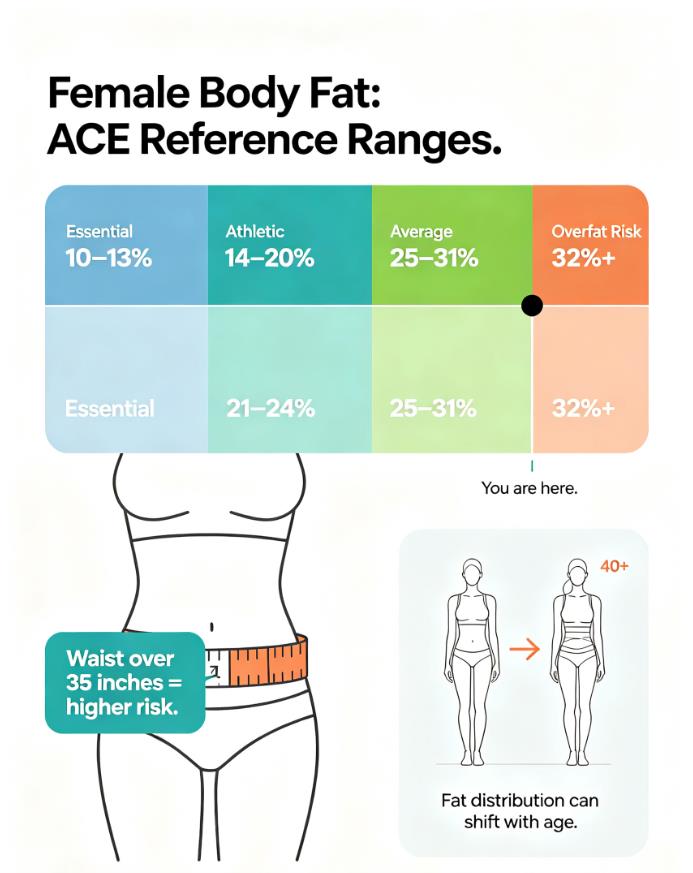 ACE body fat ranges for women with 30% marked in the average range, plus a waist tape measure showing the 35-inch risk threshold and age-related fat shift.