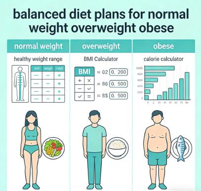 Balanced diet plans for normal weight, overweight and obese: Visual guide of simple, sustainable eating habits to support healthy weight management