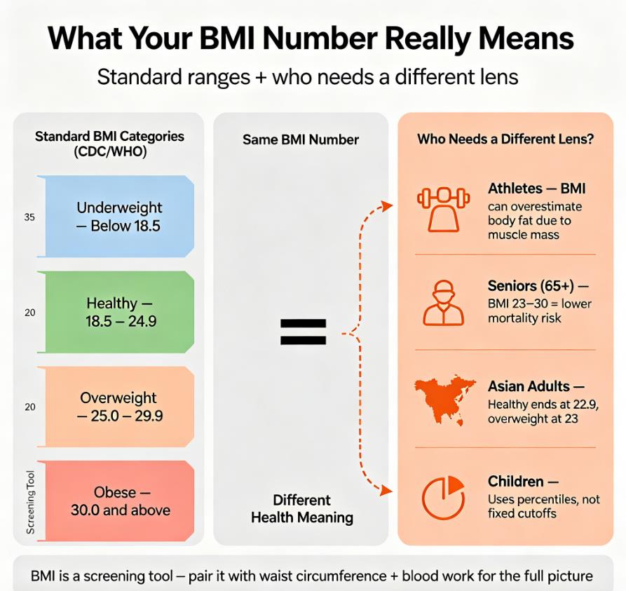 Infographic showing standard BMI categories (underweight below 18.5, healthy 18.5–24.9, overweight 25–29.9, obese 30+) alongside special population adjustments: athletes need body fat pairing, seniors 65+ have lower mortality at BMI 23–30, Asian adults use lower cutoffs (18.5–22.9 healthy, 23+ overweight), and children use percentiles. Bottom banner reads "BMI is a screening tool — pair it with waist circumference + blood work." Suitable for health education.