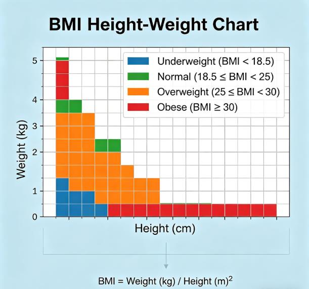 Height and weight BMI chart guide to understanding accurate BMI ranges and limitations