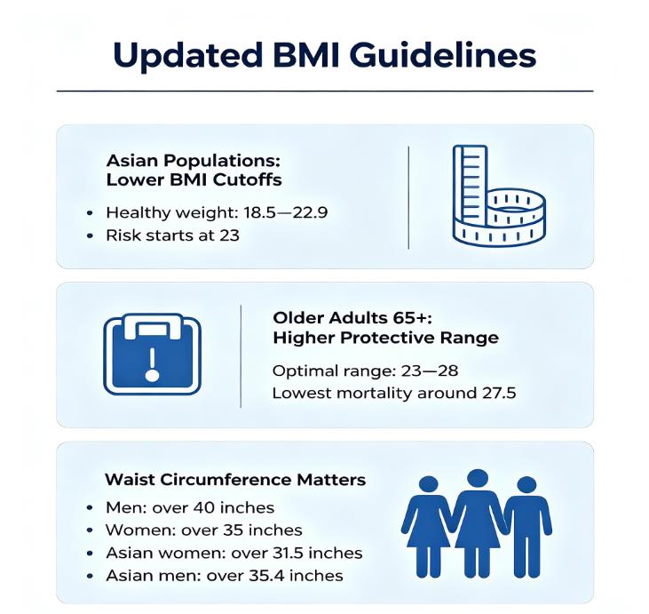 Infographic showing updated BMI guidelines: lower cutoffs for Asian populations, higher ranges for older adults, and waist circumference thresholds for men and women. Infographic showing updated BMI guidelines: lower cutoffs for Asian populations, higher ranges for older adults, and waist circumference thresholds for men and women.